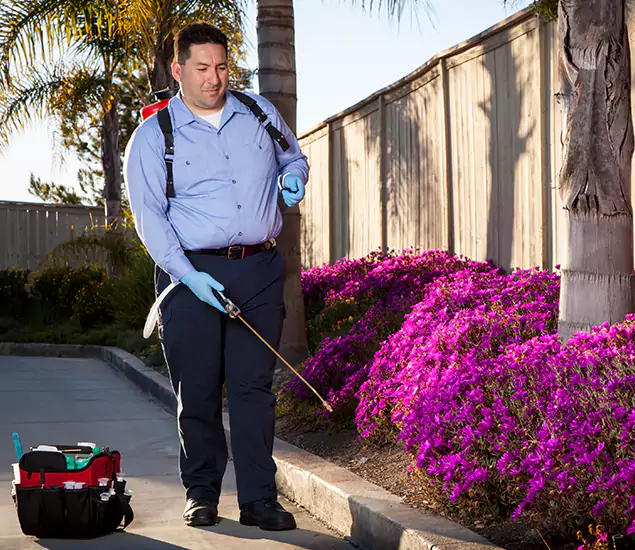 About Our Eco Safe Pest Control Experts in Maplewood, NJ