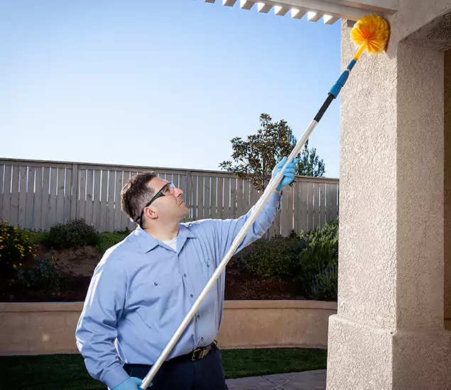 Trusted Experts in Maplewood NJ for Formosan Termite Treatment and Black Termite Control