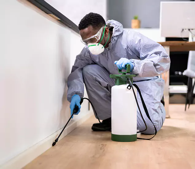 Leading Industrial Pest Control Experts Serving Maplewood, NJ