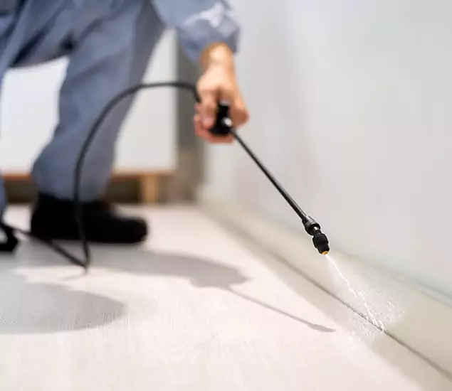 About Our Liquid Termite Treatment Experts in Maplewood, NJ