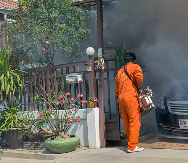 Your Proven Mosquito Fogging Company in Maplewood, NJ
