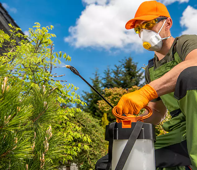 Your Best Bug Spray for Home Team in Maplewood, NJ