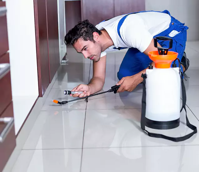 Reliable Professional Mouse Removal: Your Best Mouse Control Company in Maplewood, NJ
