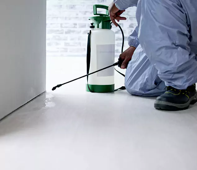 Affordable Pest Control Experts in Maplewood, NJ