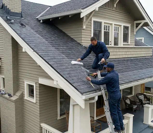 Your Pigeon Control Experts in Maplewood, NJ