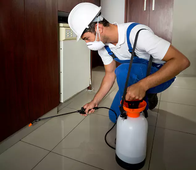 Advanced Termite Pre Treatment Experts in Maplewood, NJ