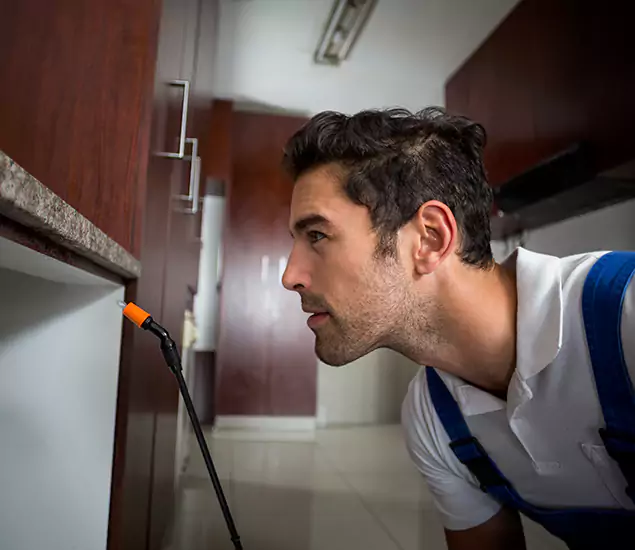 Expert Rodent in Attic Removal: Your Proven Pest Specialists in Maplewood, NJ