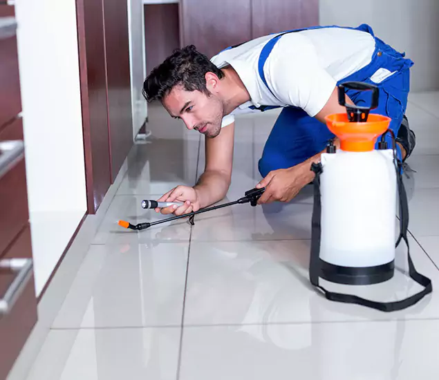 Advanced Slab Termite Treatment Experts You Can Trust&nbsp;in Maplewood, NJ