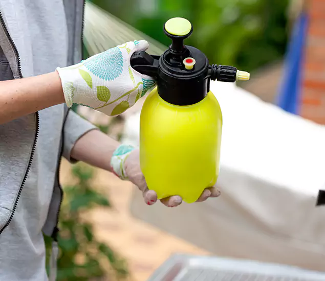 Skilled Residential Small Black Ant Service in Maplewood, NJ