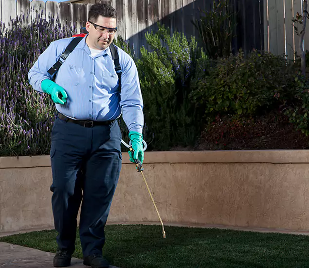 Reliable Termite Barrier Treatment Experts in Maplewood, NJ