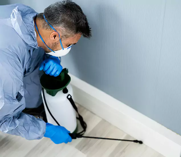 Reliable Termite Cost Experts in Maplewood, NJ