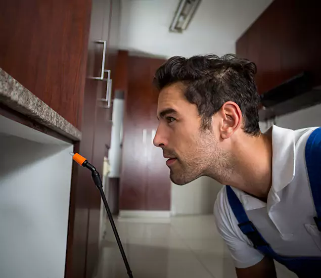 Termite Inspection Cost Experts You Can Trust in Maplewood, NJ
