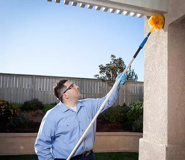 Your Trusted Wasp Removal Company in Maplewood, NJ