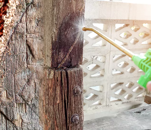 About Wood Termite Treatment Services in Maplewood, NJ