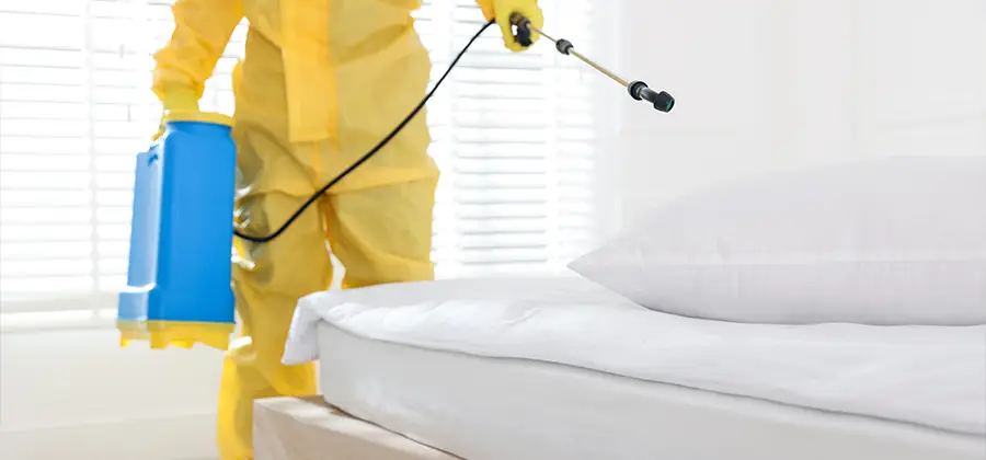 Targeted Chemical Application in Maplewood