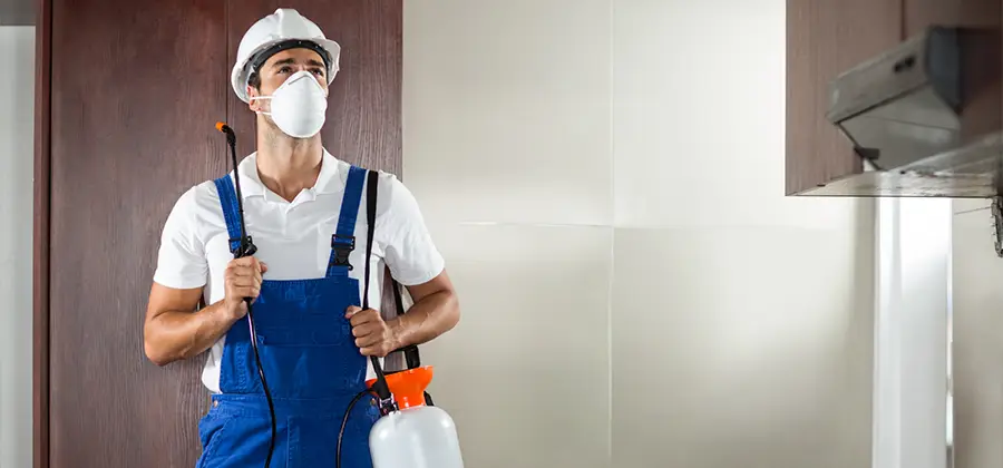Per Room Bed Bug Cost in Maplewood