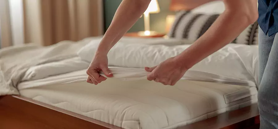 Bed Bug Extermination Services in Maplewood
