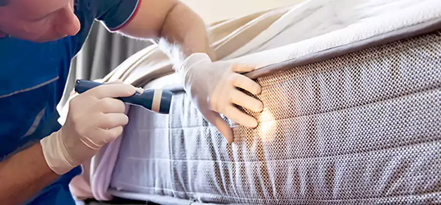 Residential Bed Bug Treatment Cost in Maplewood