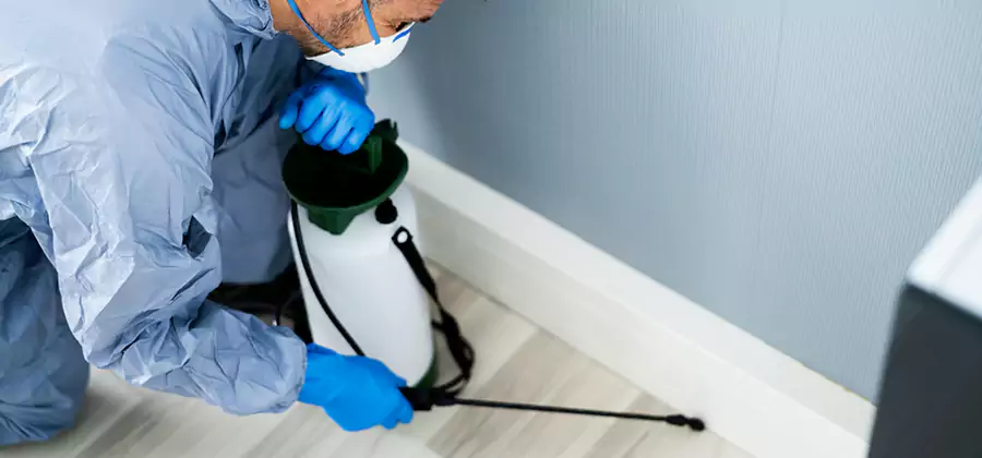 Fumigate Apartment Roaches in Maplewood
