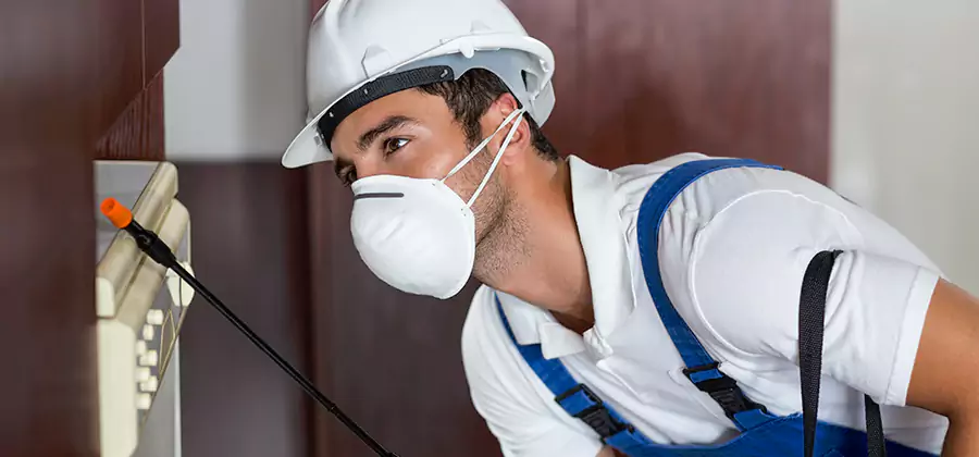 Injection Foam Treatment for Drywood Termites in Maplewood