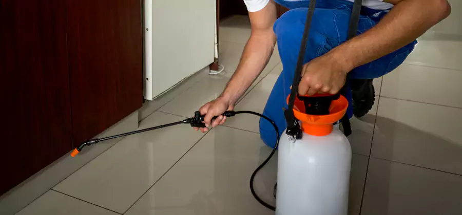 Indoor Mosquito Treatment in Maplewood