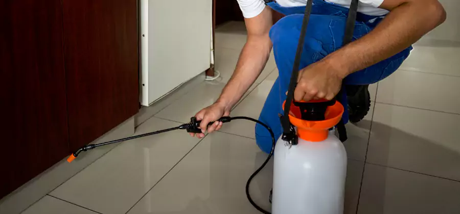 Indoor Insect Killer Solutions in Maplewood