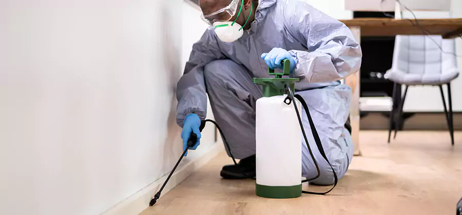 Long Lasting Mosquito Treatment in Maplewood