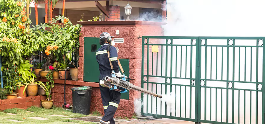 Backyard Mosquito Foggers Service in Maplewood