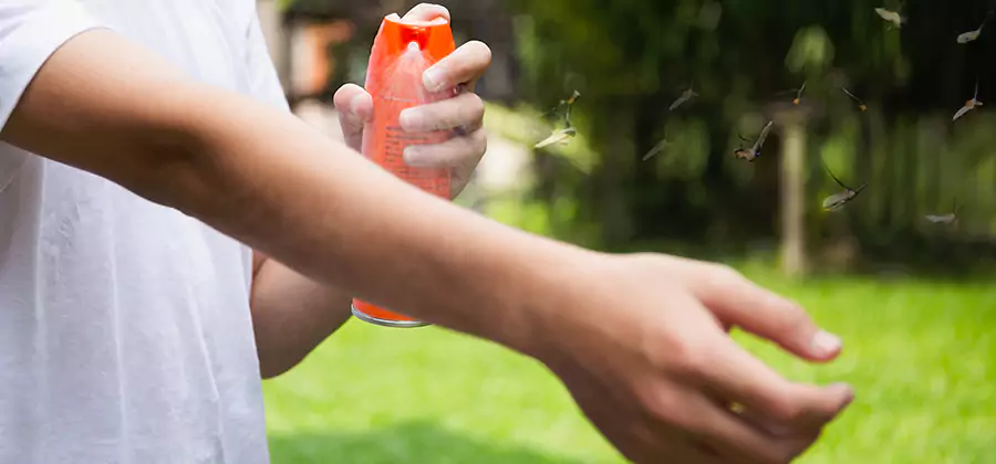 Mosquito and Tick Control Services in Maplewood