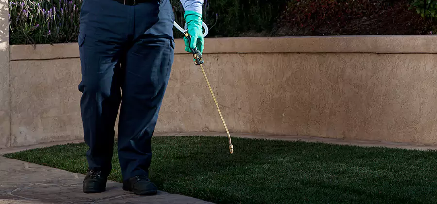 Soil Treatment for New Construction Termites in Maplewood