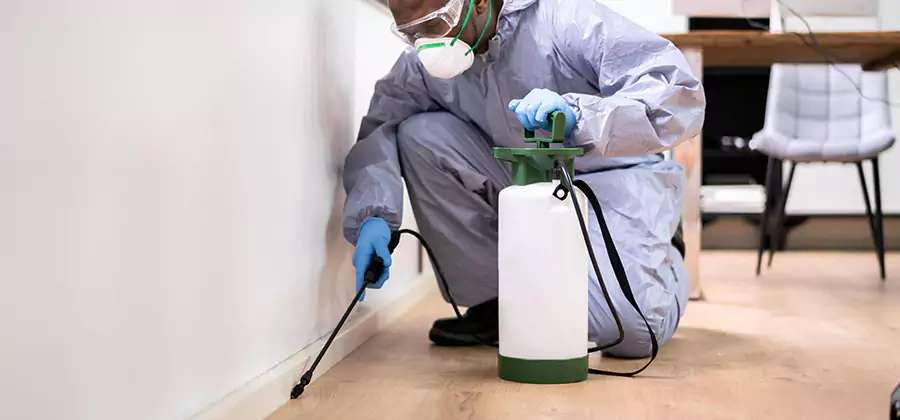 No Tent Termite Extermination With Electric Tool in Maplewood