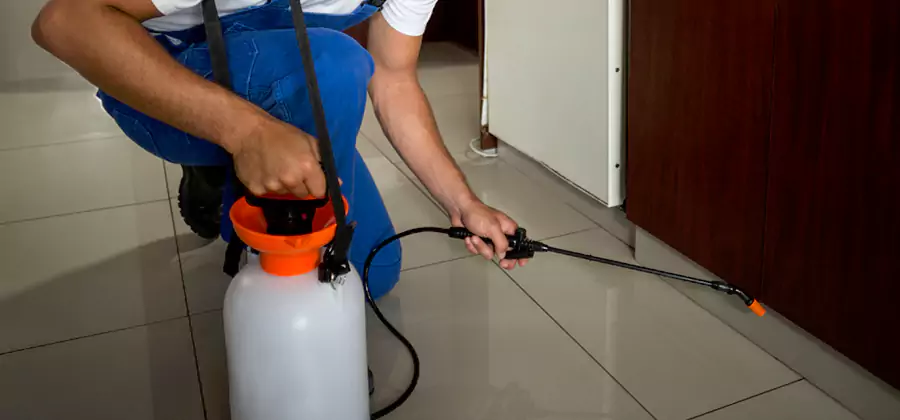 One Time Termite Control in Maplewood