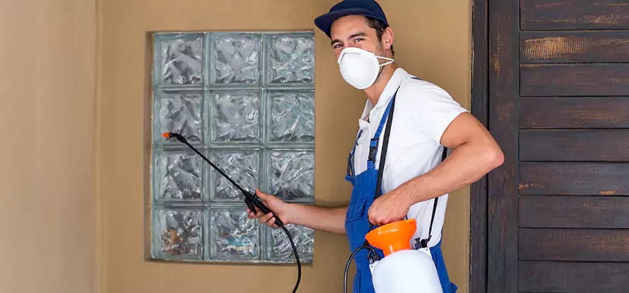 Physical Termite Barrier Installation in Maplewood