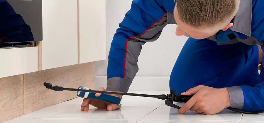 Moisture Treatment For Termite Control Service in Maplewood