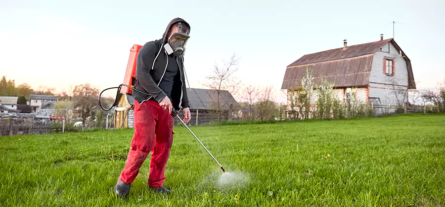 Flea and Tick Pest Control in Maplewood