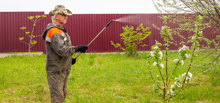 Flea and Tick Spray for Yard in Maplewood