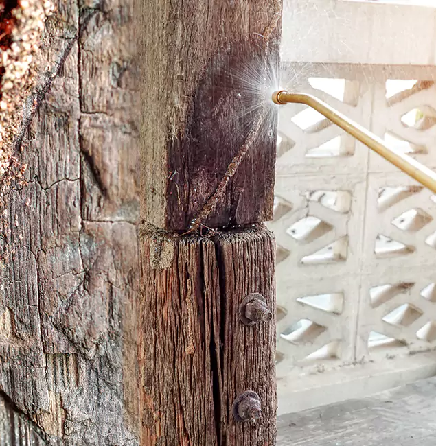 Why Choose Maplewood Pest Control Pro for Attic Termite Treatment in Maplewood, NJ?