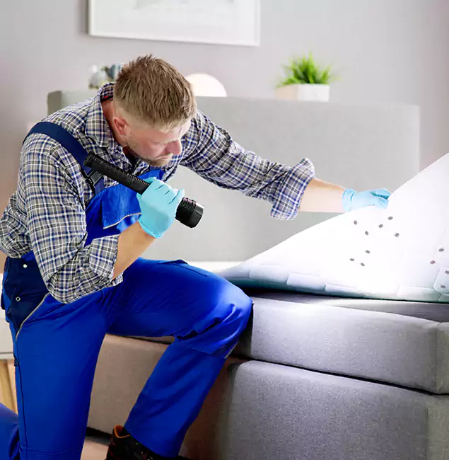 Why Choose Maplewood Pest Control Pro For Bed Bug Heat Treatment in Maplewood, NJ?