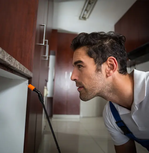 Why Choose Maplewood Pest Control Pro for Bed Bug Removal Cost in Maplewood, NJ?