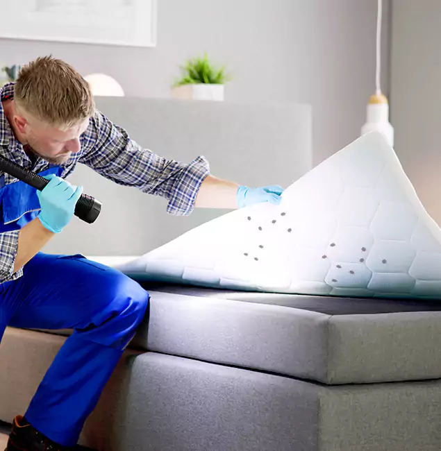 Why Choose Maplewood Pest Control Pro in Maplewood, NJ?