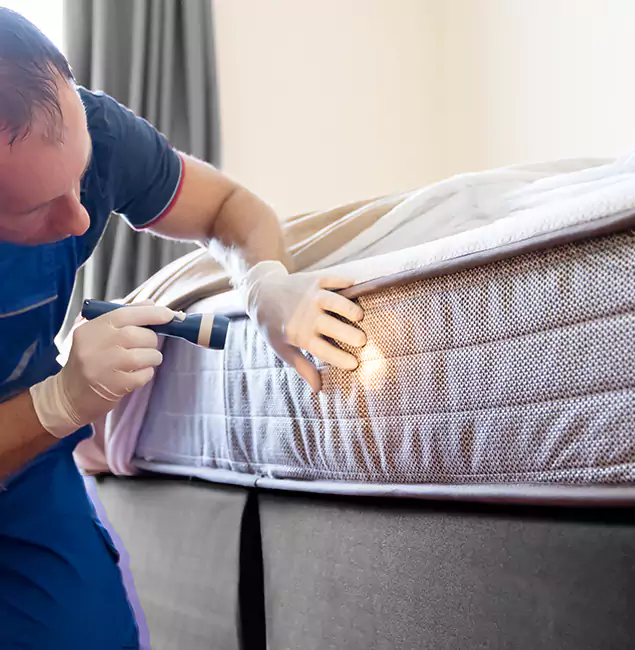 Why Choose Maplewood Pest Control Pro for Bed Bug Services in Maplewood, NJ?