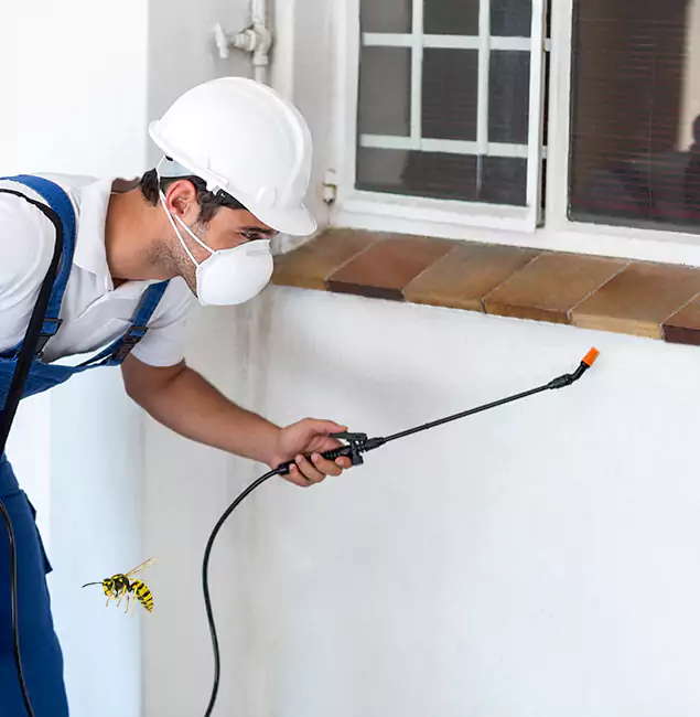 Why Maplewood Property Owners Choose Maplewood Pest Control Pro for Bee Nest Removal?