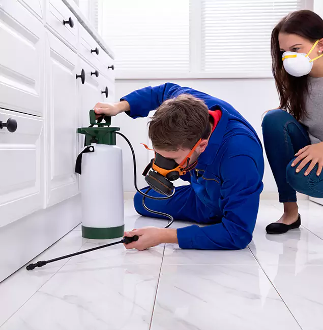 Why Choose Maplewood Pest Control Pro in Maplewood, NJ?