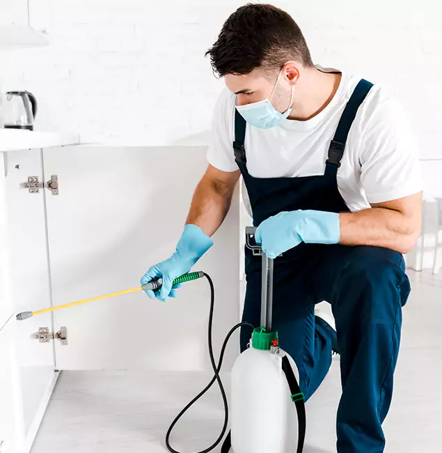 Why Choose Maplewood Pest Control Pro for Emergency Pest Control in Maplewood?