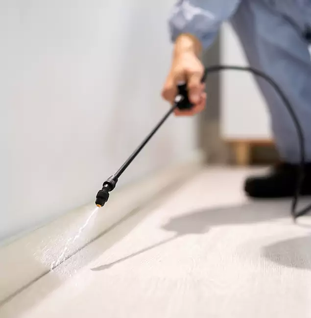 Why Choose Maplewood Pest Control Pro for Termite Treatment in Maplewood, NJ?