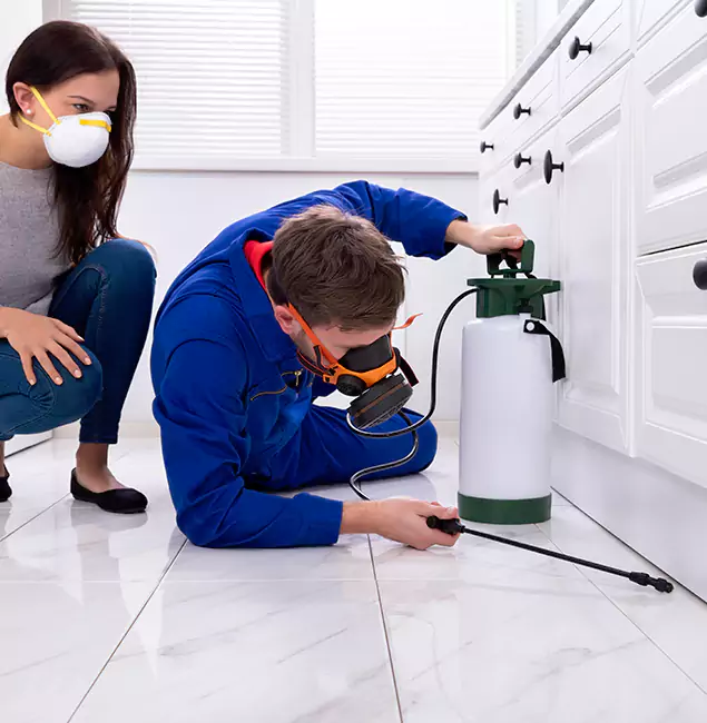 Why Maplewood, NJ Homeowners Trust Maplewood Pest Control Pro for Roach Control?