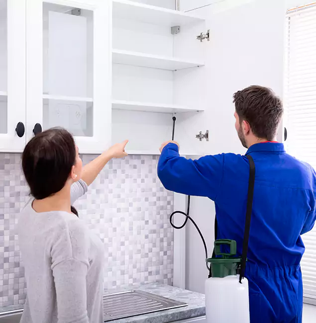 Why Maplewood Property Owners Choose Maplewood Pest Control Pro for Ground Bee Removal?