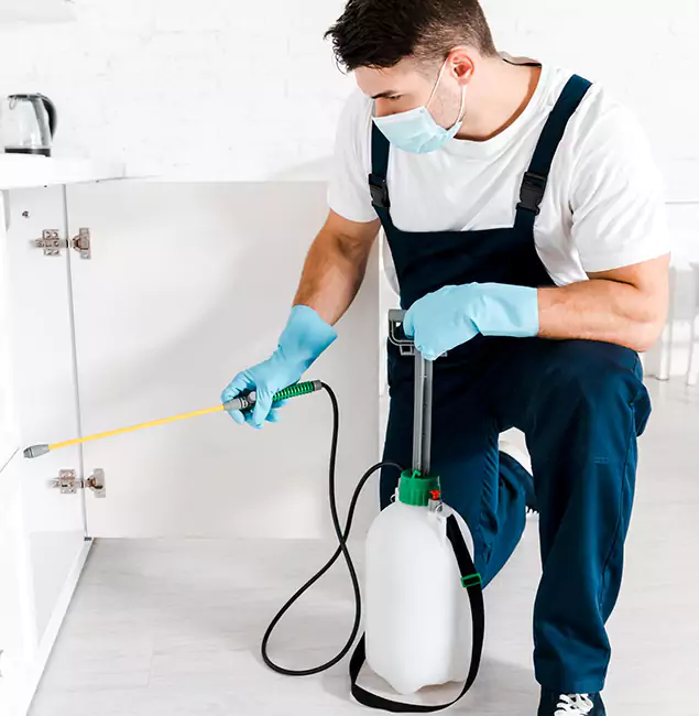 Why Choose Maplewood Pest Control Pro for Indoor Pest Control in Maplewood, NJ?