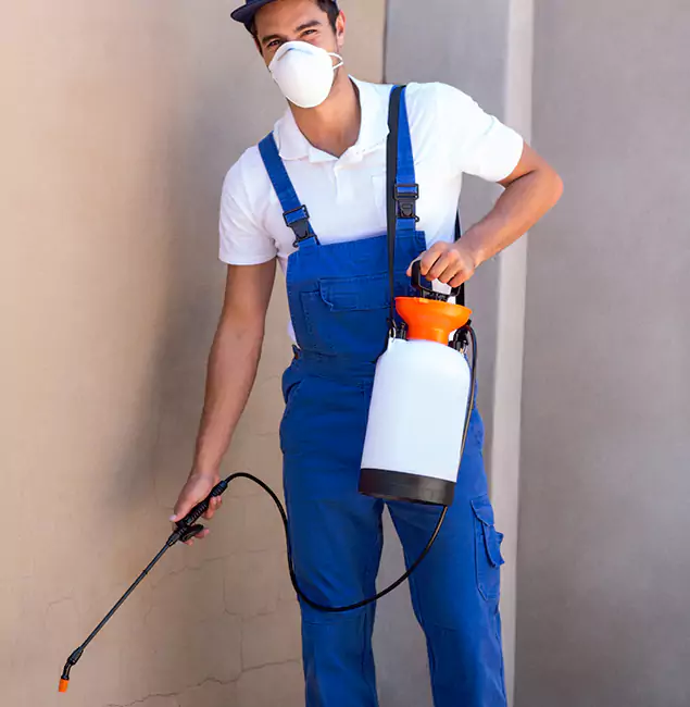 What Makes Maplewood Pest Control Pro the Right Choice in Maplewood, NJ?
