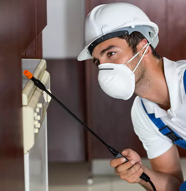 Why Maplewood Homeowners Rely on Maplewood Pest Control Pro for Tick Treatment?